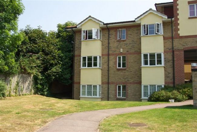 Croydon Road